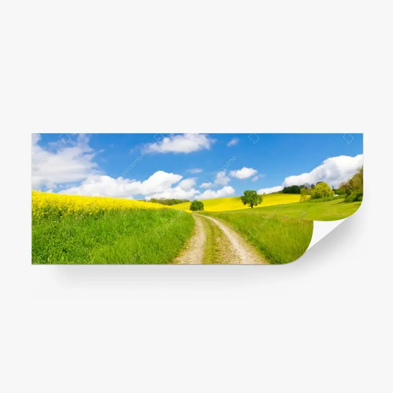Fototapete sonniger landeweg durch gelbe felder