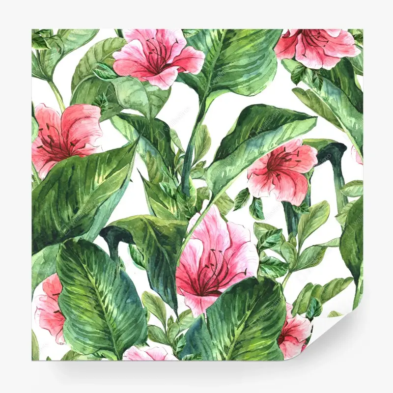 Fototapete rosa aquarell blumen botanikmotiv