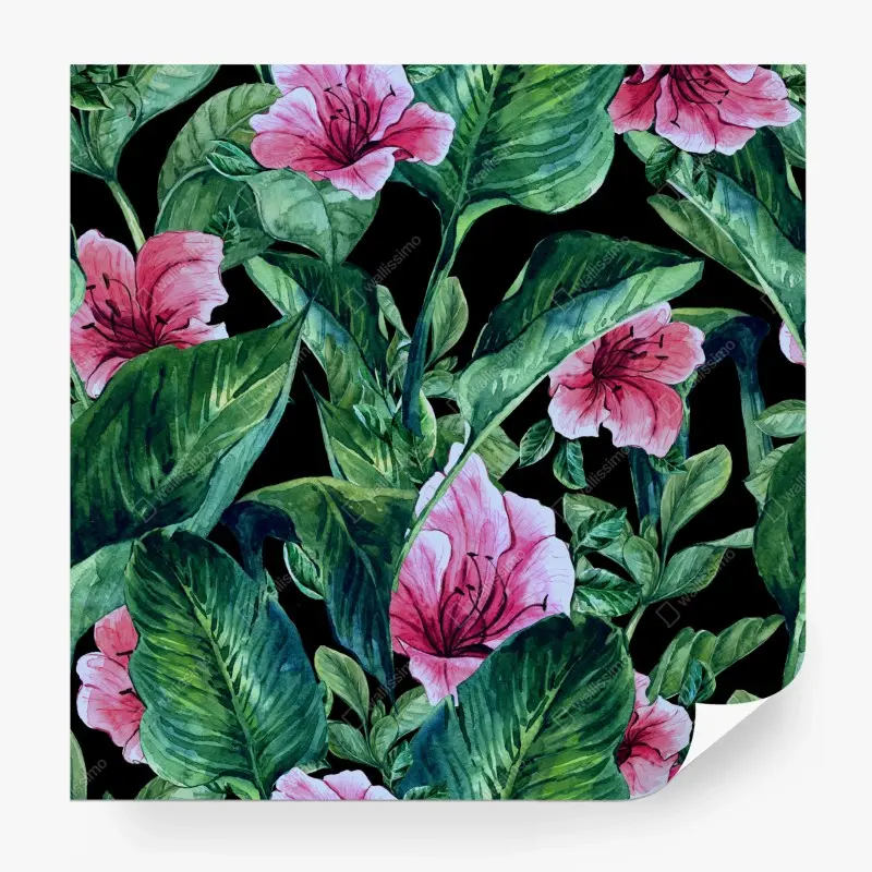 Fototapete rosa aquarellblumen auf schwarzem hintergrund
