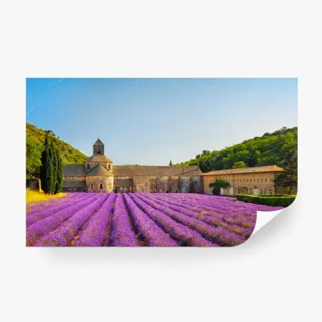 Fototapete lavendelfelder bei Abtei Sénanque, Provence – Pixers®