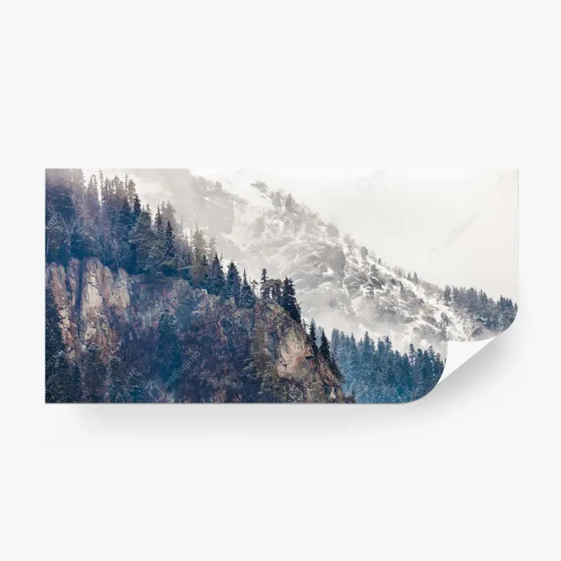 Fototapete nebliger berg mit felsklippe und kieferwald