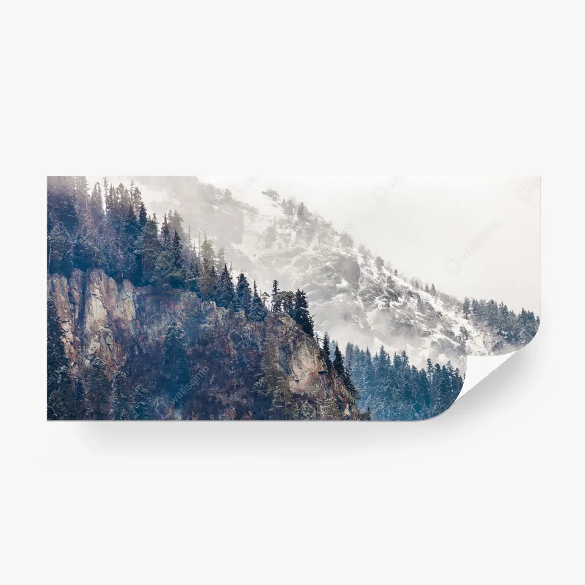 Fototapete nebliger berg mit felsklippe und kieferwald – Pixers®