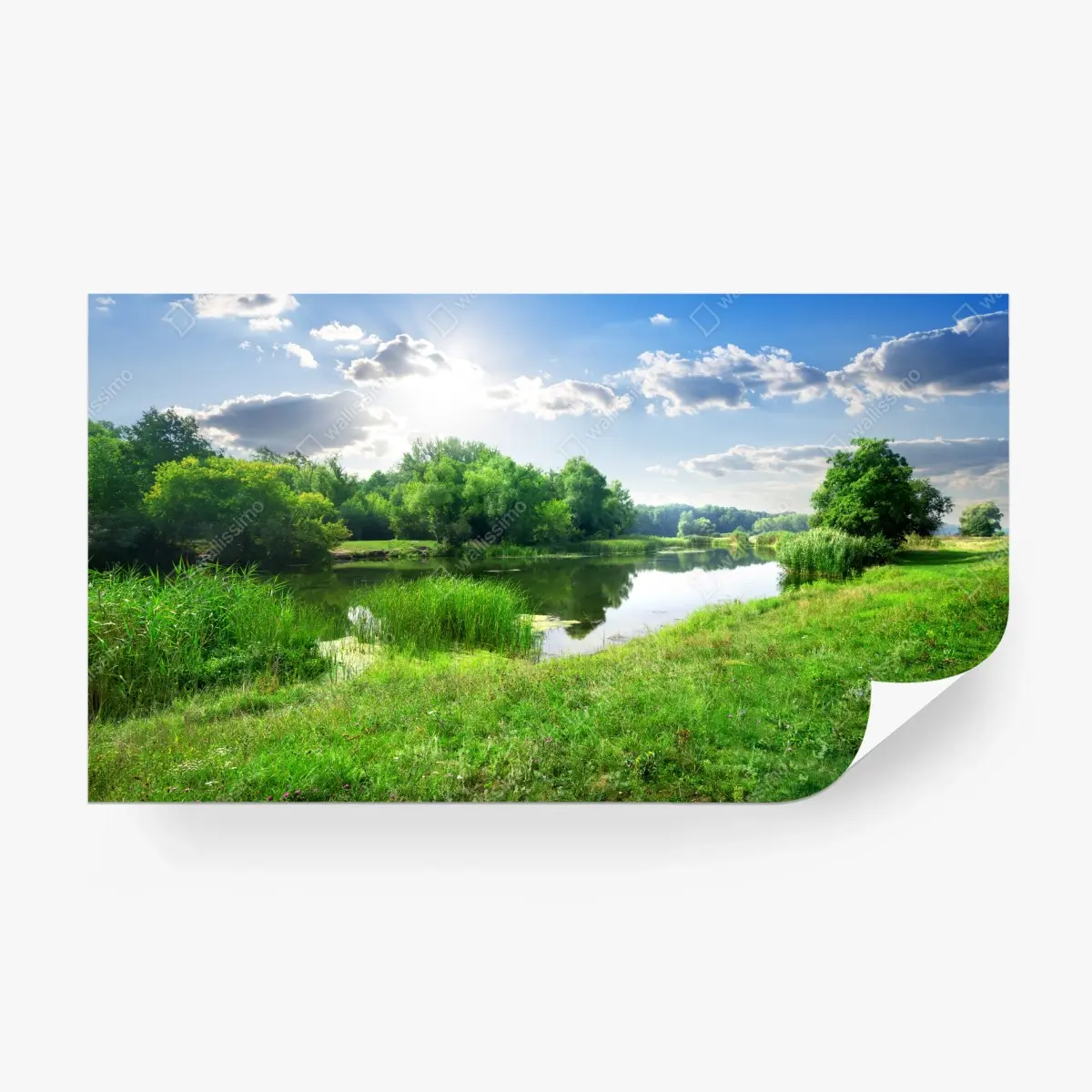 Fototapete sonnige wiese am fluss – Pixers®
