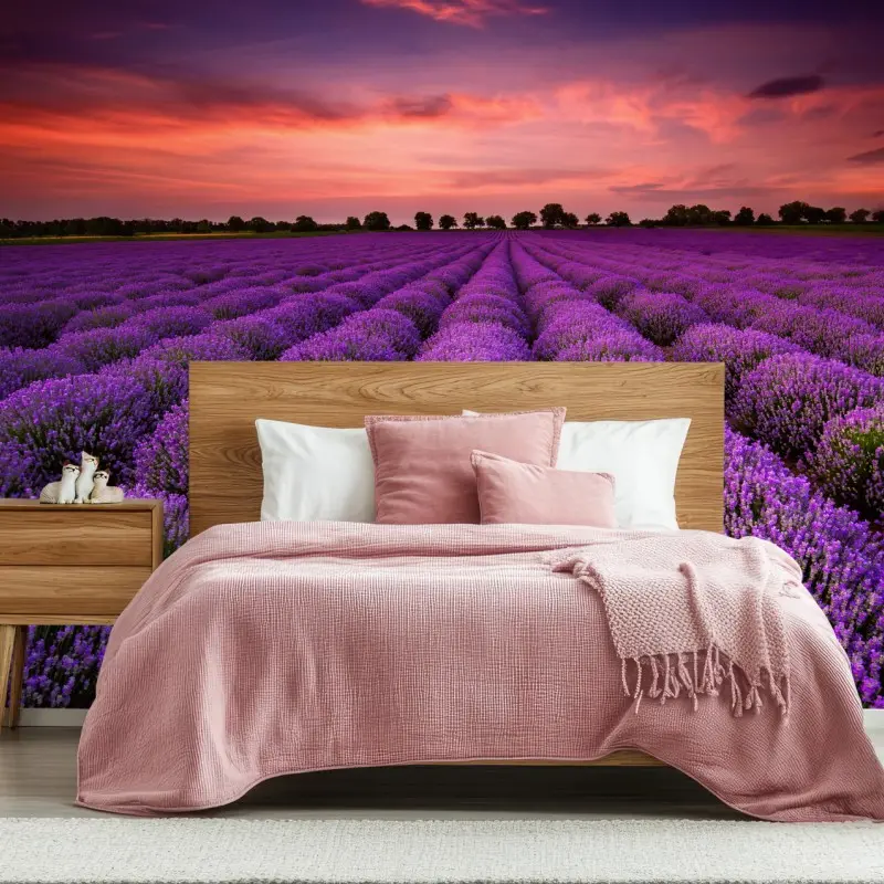 Fototapete lavendelfeld bei sonnenuntergang