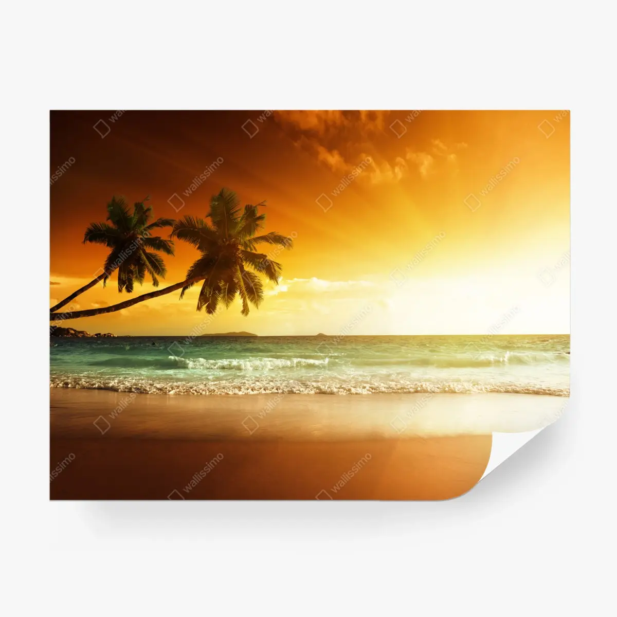 Fototapete tropischer sonnenuntergang am strand – Pixers®