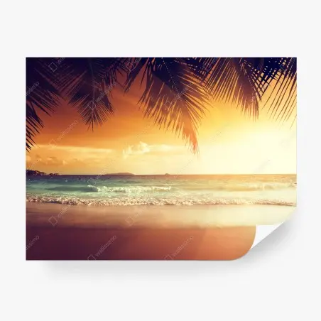 Fototapete strand bei sonnenuntergang in der Karibik – Pixers®
