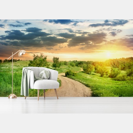 Fototapete sonnenuntergang über einem feldweg durch grüne wiese – Pixers®
