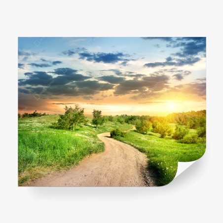 Fototapete sonnenuntergang über einem feldweg durch grüne wiese – Pixers®
