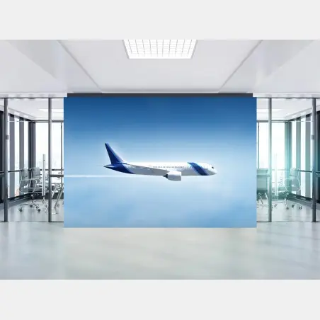 Fototapete jet im klaren blauen himmel – Pixers®
