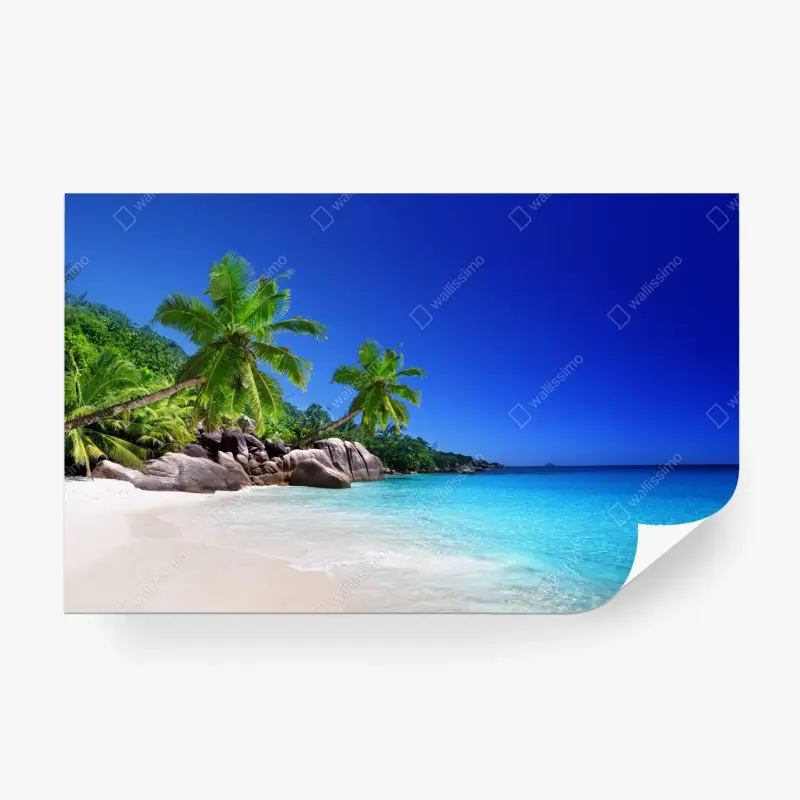 Fototapete tropischer strand mit türkisfarbenem wasser und palmen