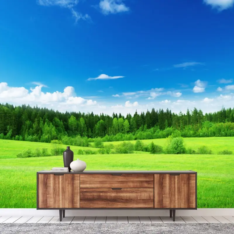 Fototapete frühlingswiese unter blauem himmel