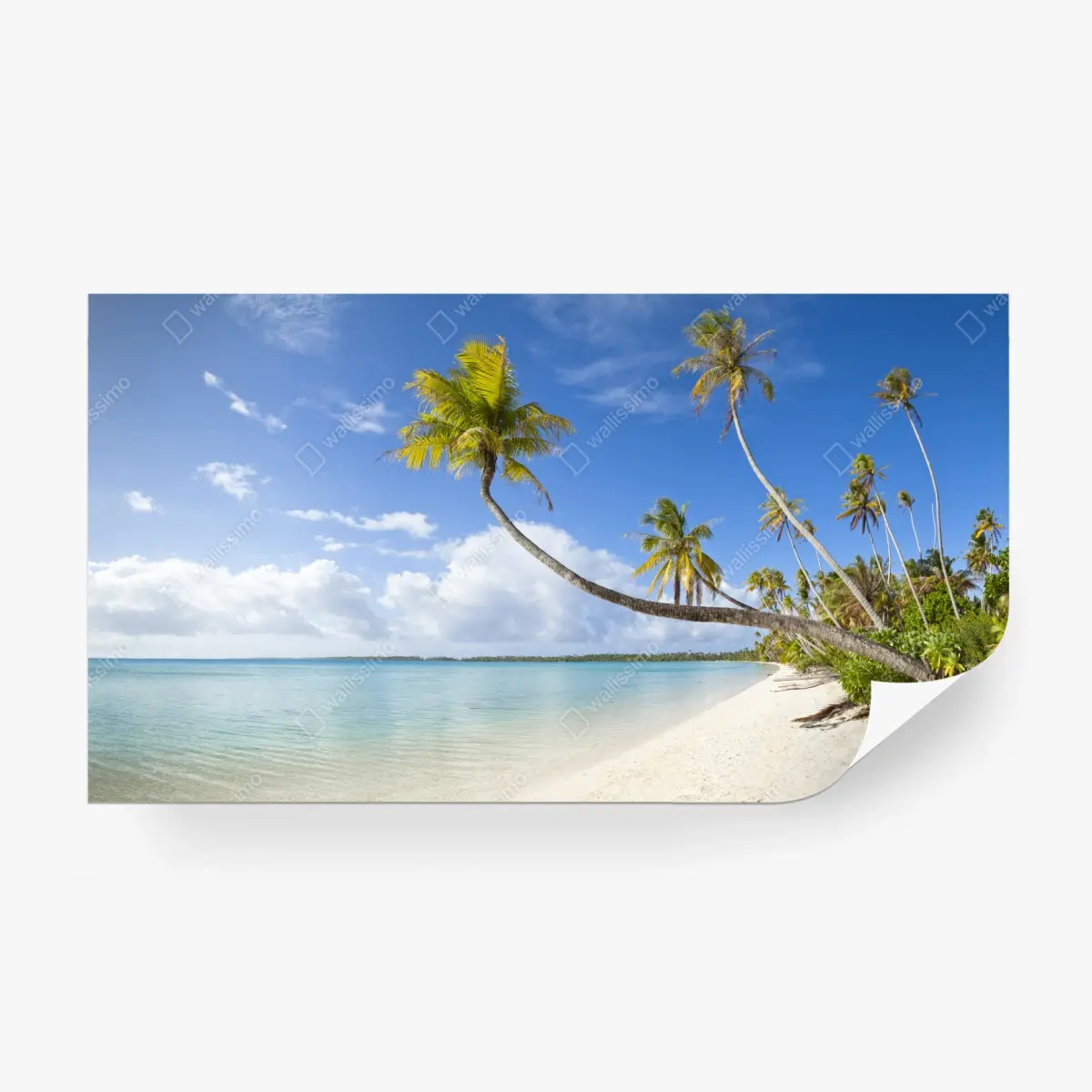 Fototapete tropischer türkisblauer strand mit geneigter palme – Pixers®