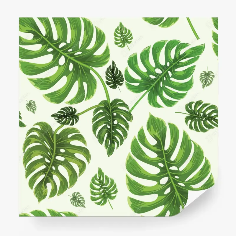 Fototapete tropisches monstera-blattmuster