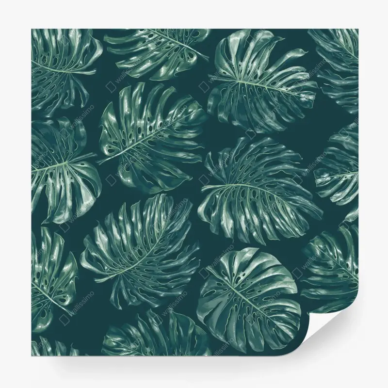 Fototapete tropisches monstera-blattmuster