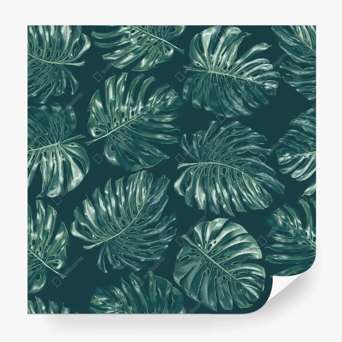 Fototapete tropisches monstera-blattmuster – Pixers®