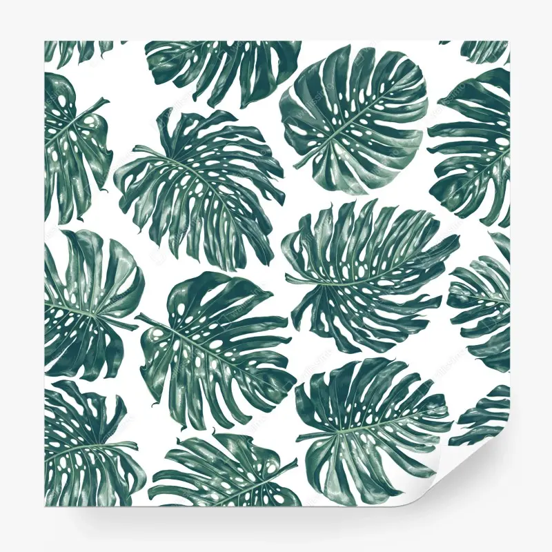 Fototapete monstera blatt botanisches muster