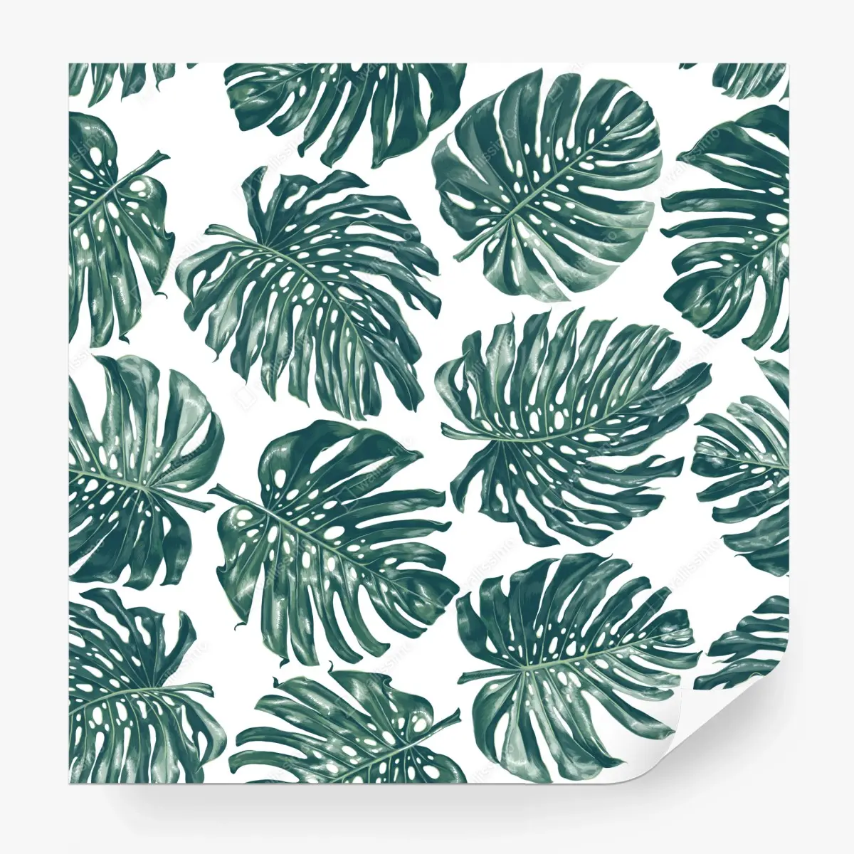 Fototapete monstera blatt botanisches muster – Pixers®