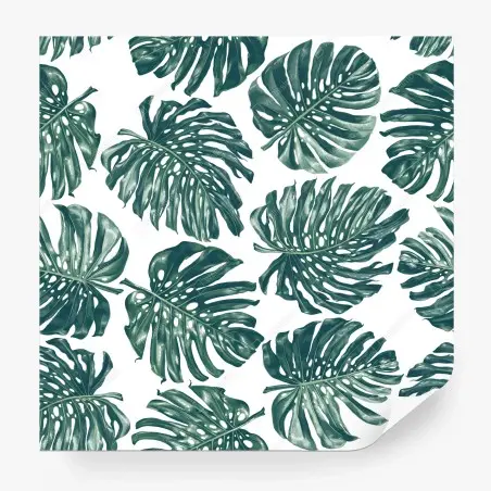 Fototapete monstera blatt botanisches muster – Pixers®