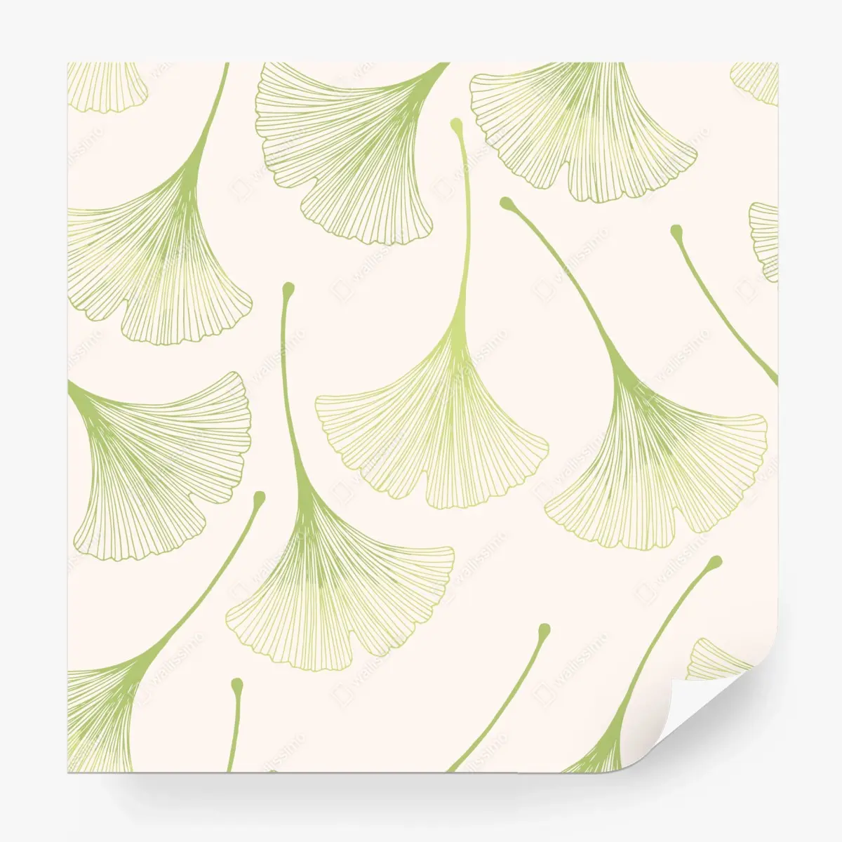 Fototapete zartes ginkgoblattmuster – Pixers®