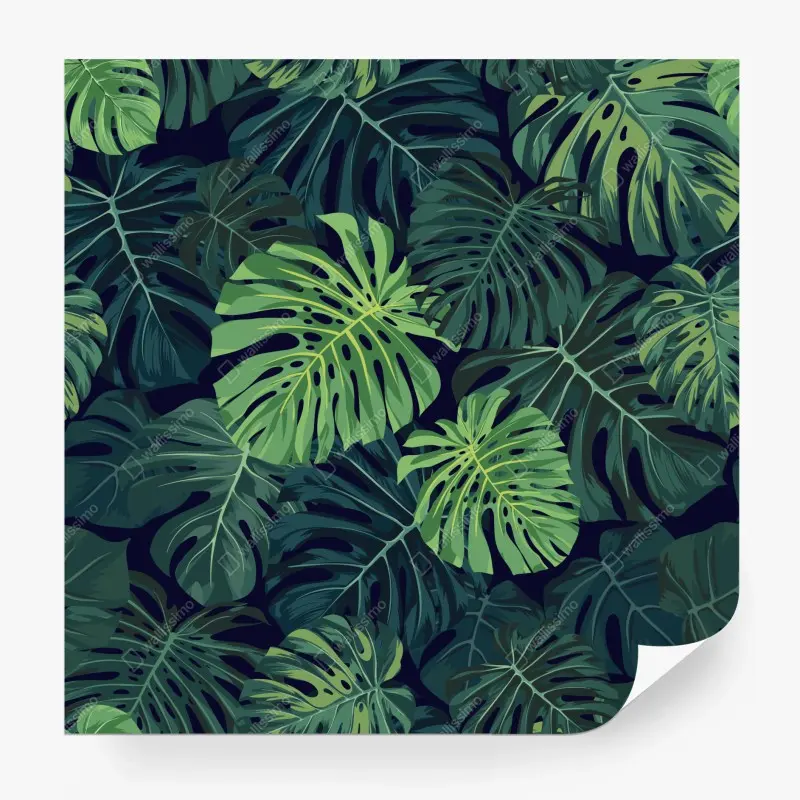 Fototapete tropisches monstera-blattmuster
