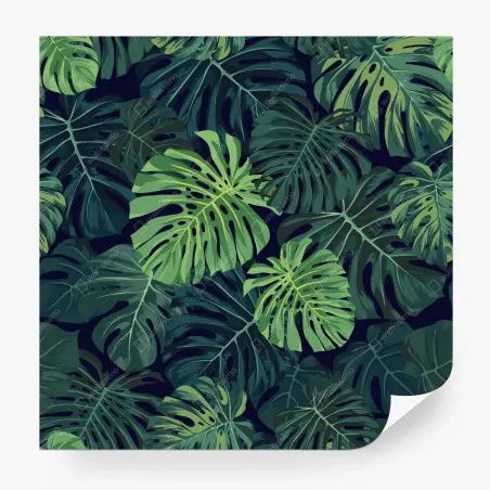 Fototapete tropisches monstera-blattmuster – Pixers®