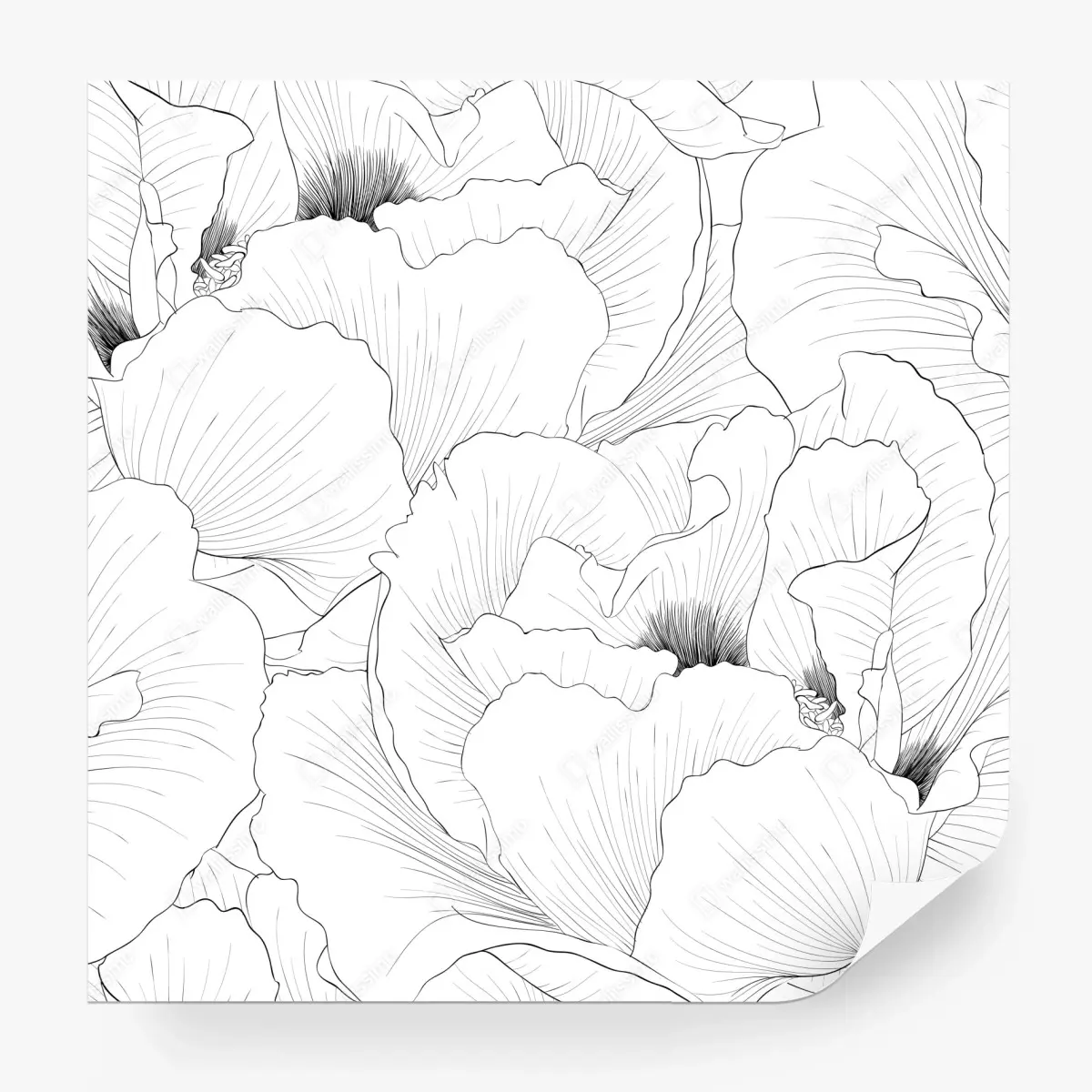 Fototapete feine botanische linienzeichnung mit blumen – Pixers®