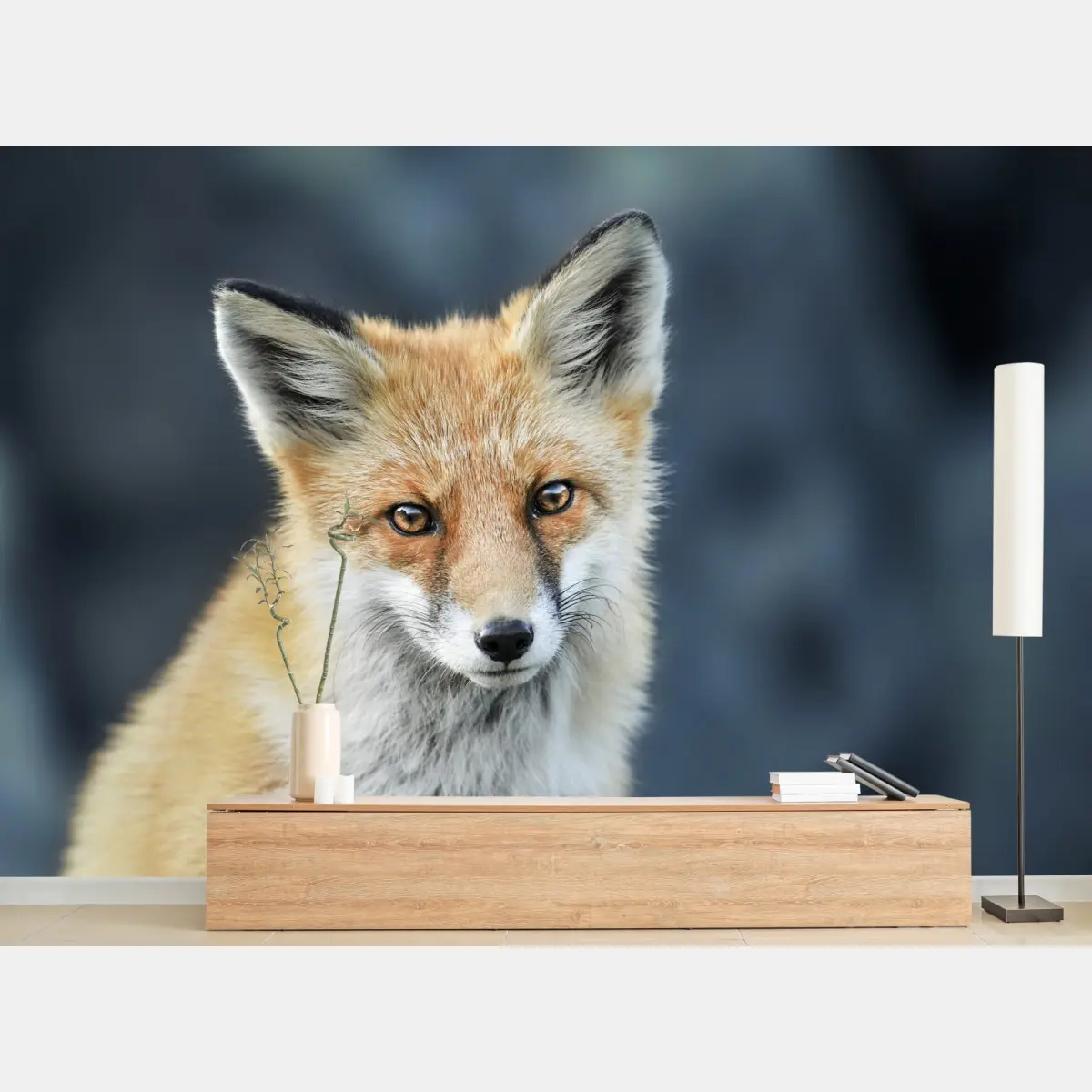 Fototapete rotfuchs nahaufnahme – Pixers®
