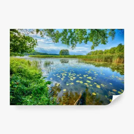 Fototapete sommer am Masurensee – Pixers®