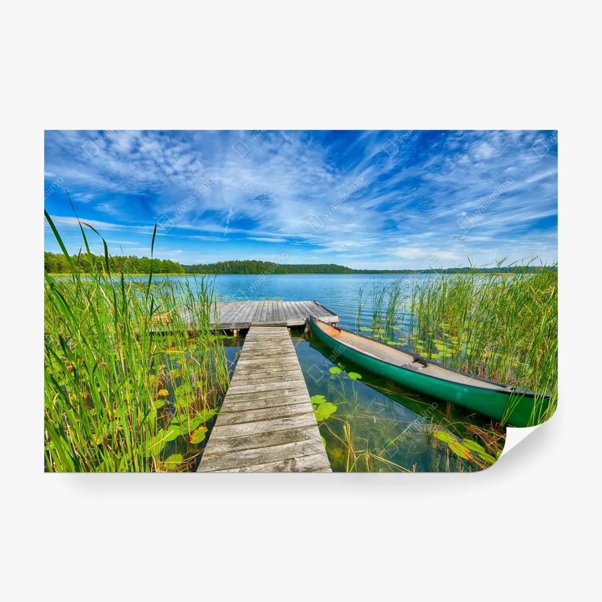 Fototapete ruhiger sommersee in Masuren – Pixers®