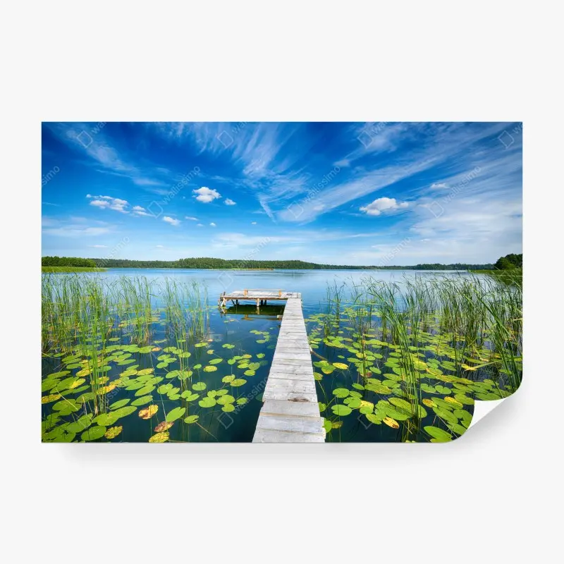 Fototapete steg in Masuren im sommer