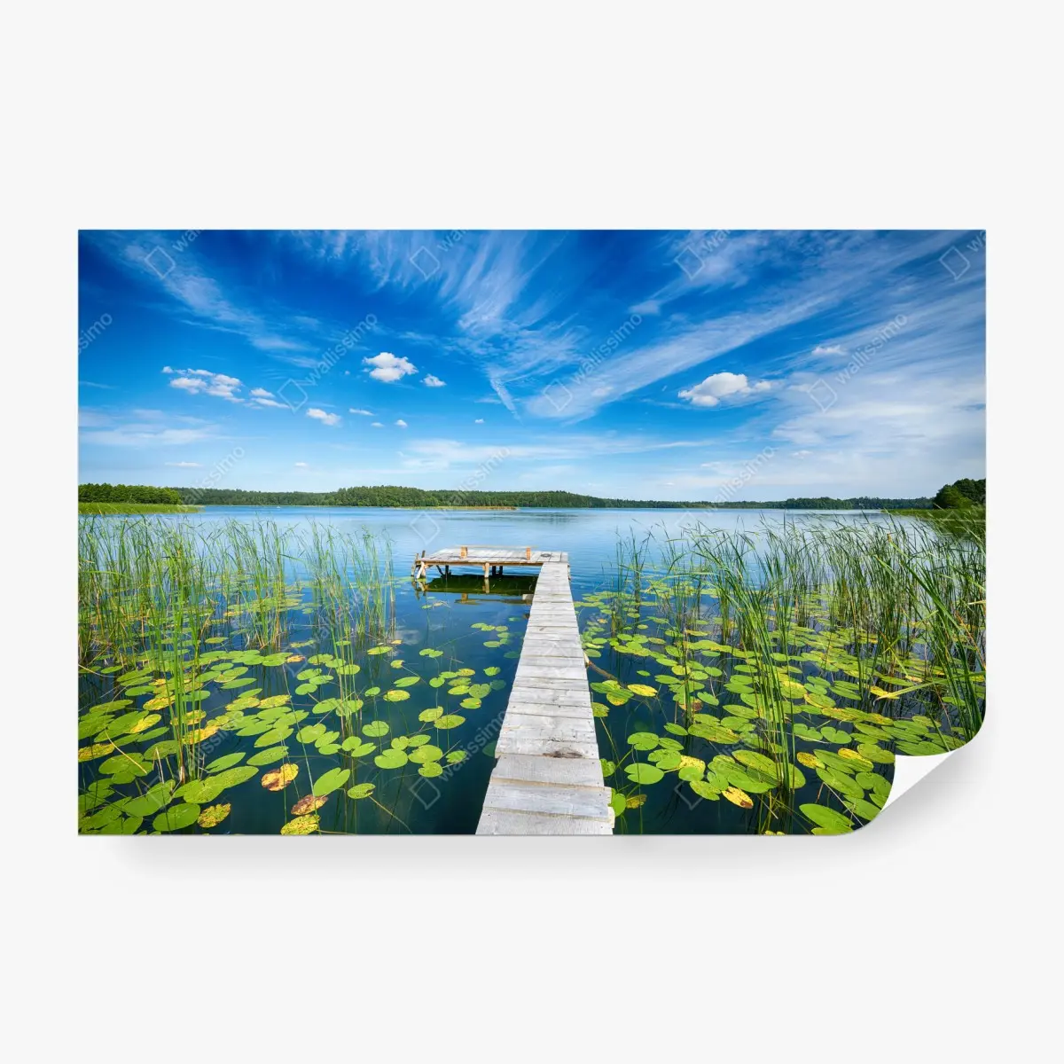 Fototapete steg in Masuren im sommer – Pixers®