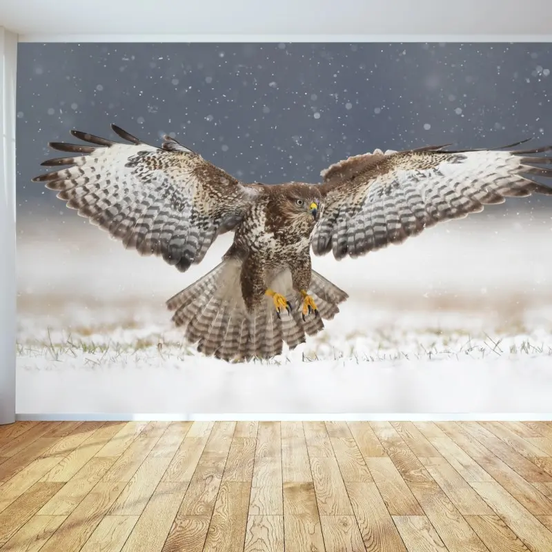 Fototapete mäusebussard landet im schnee