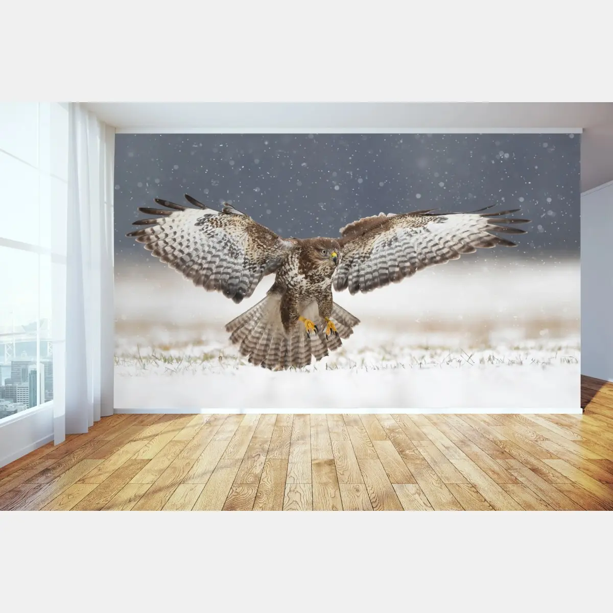 Fototapete mäusebussard landet im schnee – Pixers®
