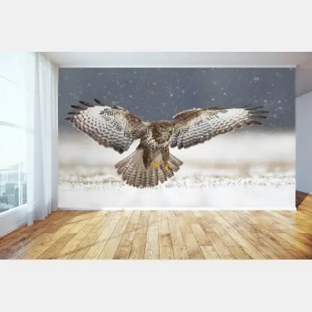 Fototapete mäusebussard landet im schnee – Pixers®