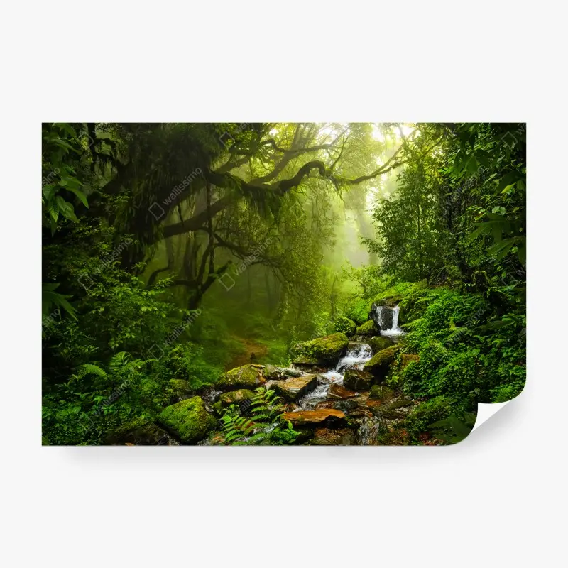 Fototapete üppiger nebliger waldwasserfall