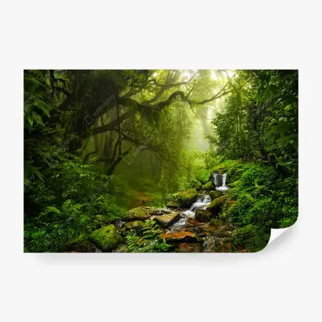 Fototapete üppiger nebliger waldwasserfall – Pixers®