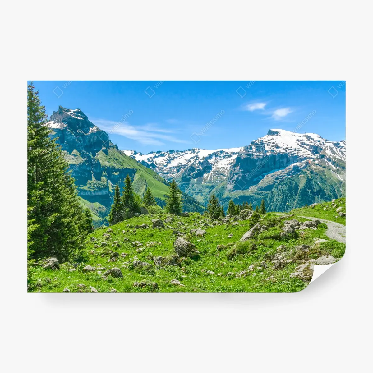 Fototapete sonnige alpwiese in Engelberg – Pixers®