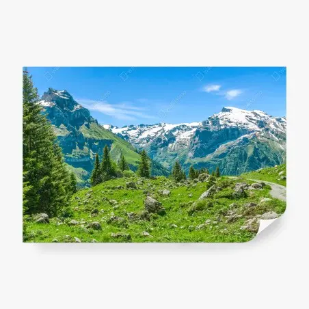 Fototapete sonnige alpwiese in Engelberg – Pixers®