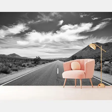 Fototapete Death Valley offene Straße in schwarzweiß – Pixers®