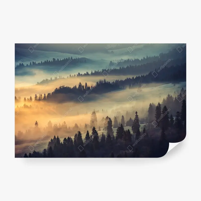 Fototapete nebliger bergwald im sonnenaufgang