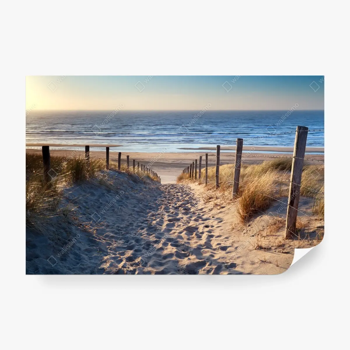 Fototapete weg zum strand der Nordsee im goldenen sonnenuntergang – Pixers®