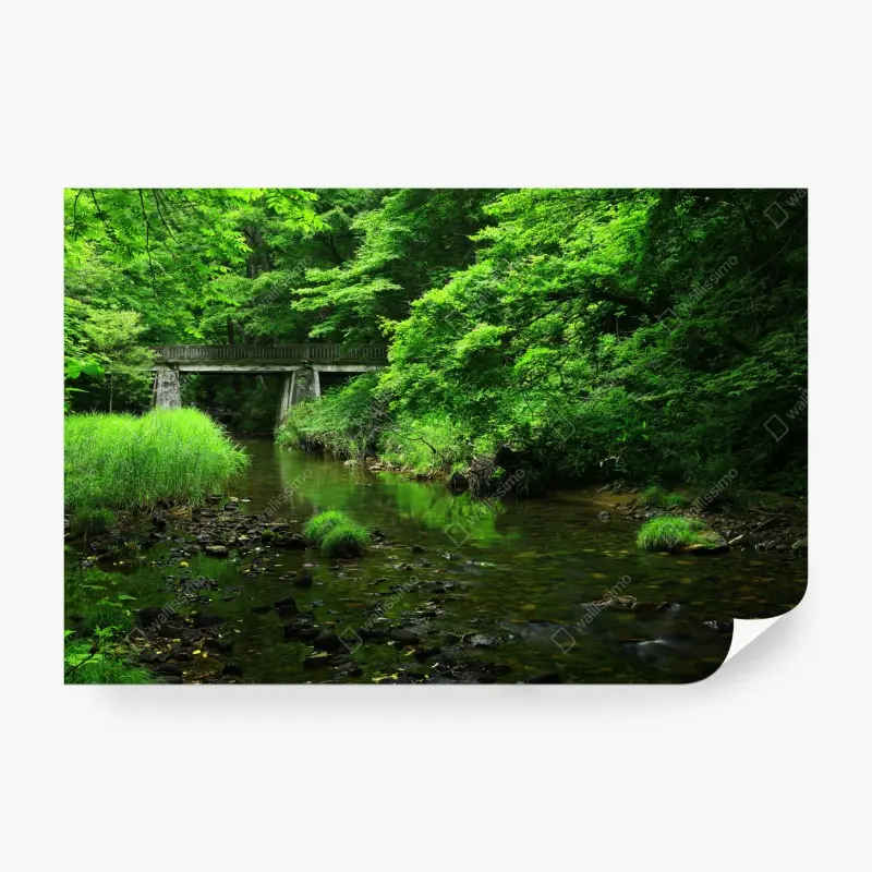 Fototapete üppiger grüner waldbach mit steinbrücke