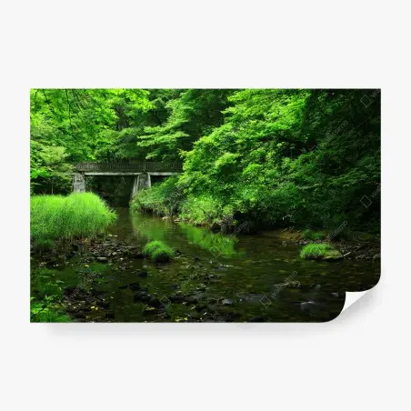 Fototapete üppiger grüner waldbach mit steinbrücke – Pixers®