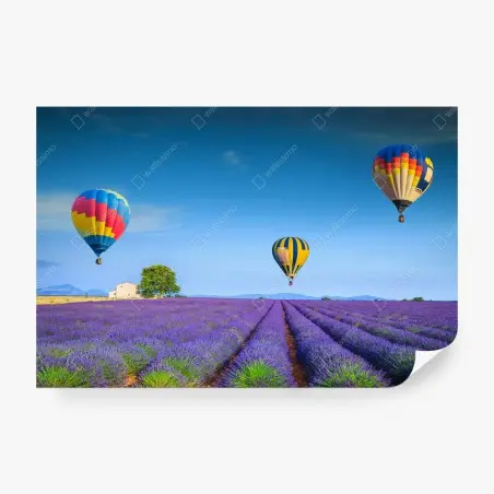 Fototapete lavendelfelder bei Valensole mit luftballons – Pixers®