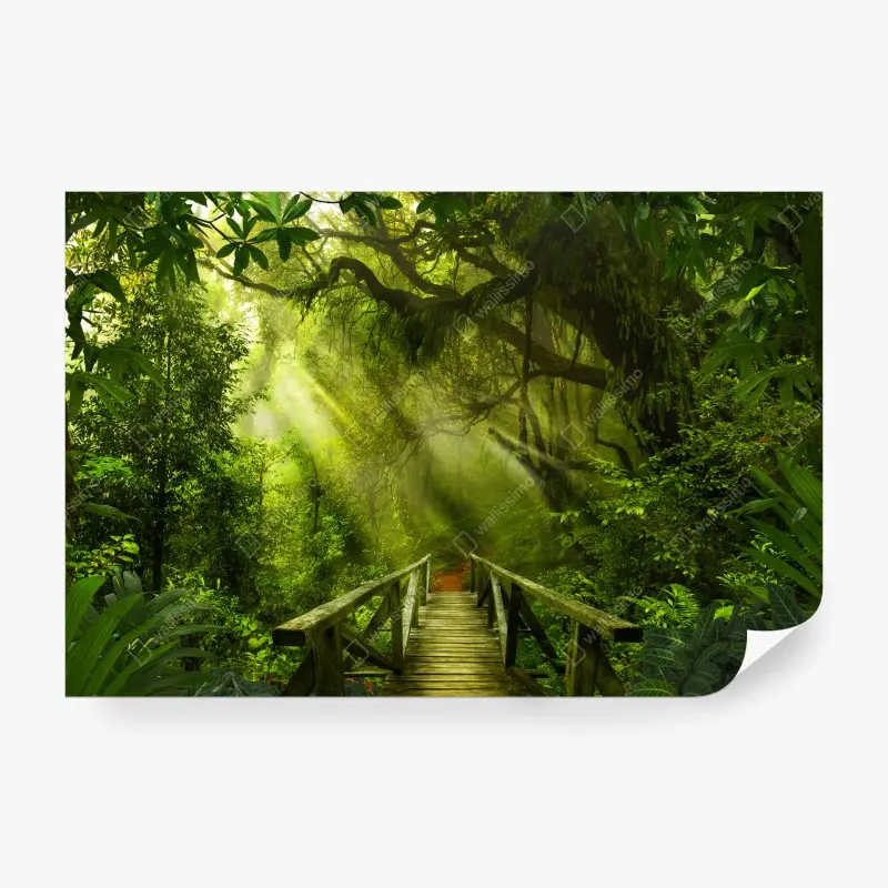 Fototapete sonnenbeschienener waldweg