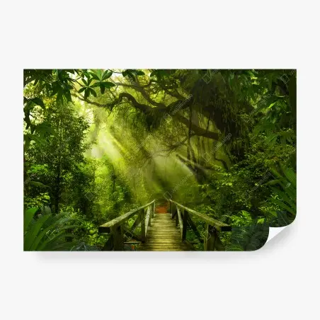 Fototapete sonnenbeschienener waldweg – Pixers®
