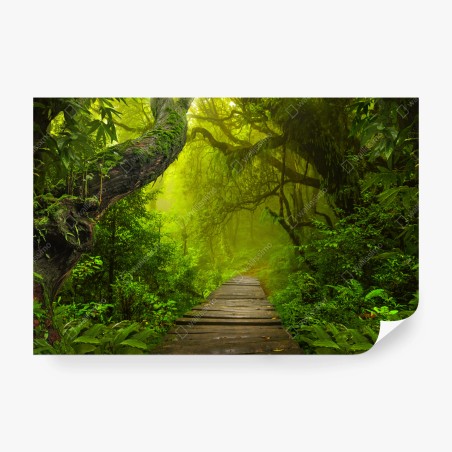 Fototapete mystischer grüner waldpfad – Pixers®