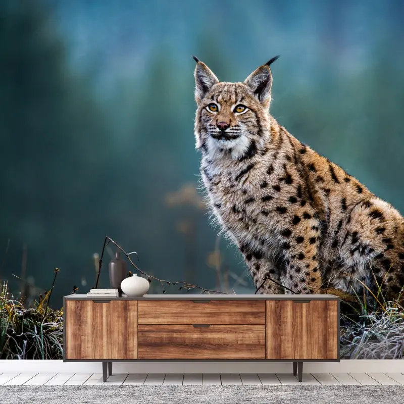 Fototapete majestätischer luchs in natürlichem habitat
