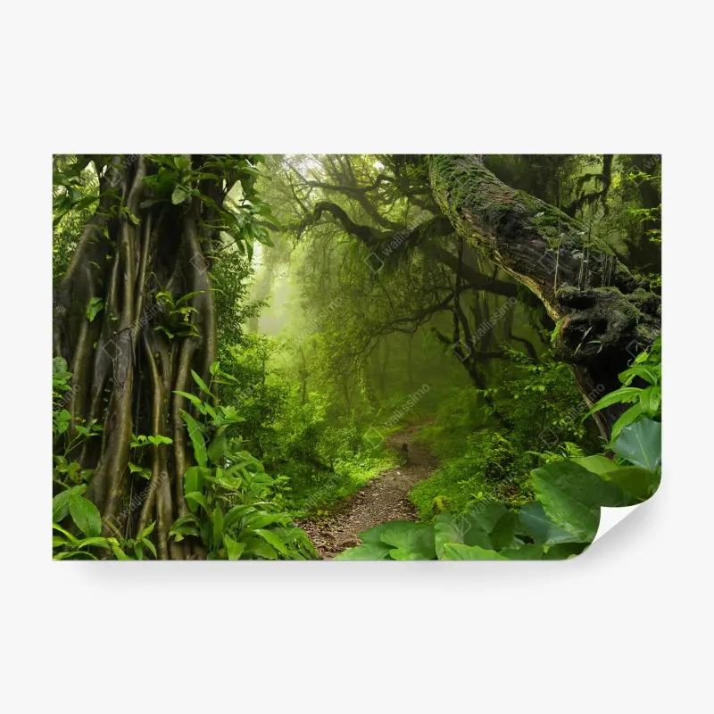 Fototapete üppiger nebliger waldpfad
