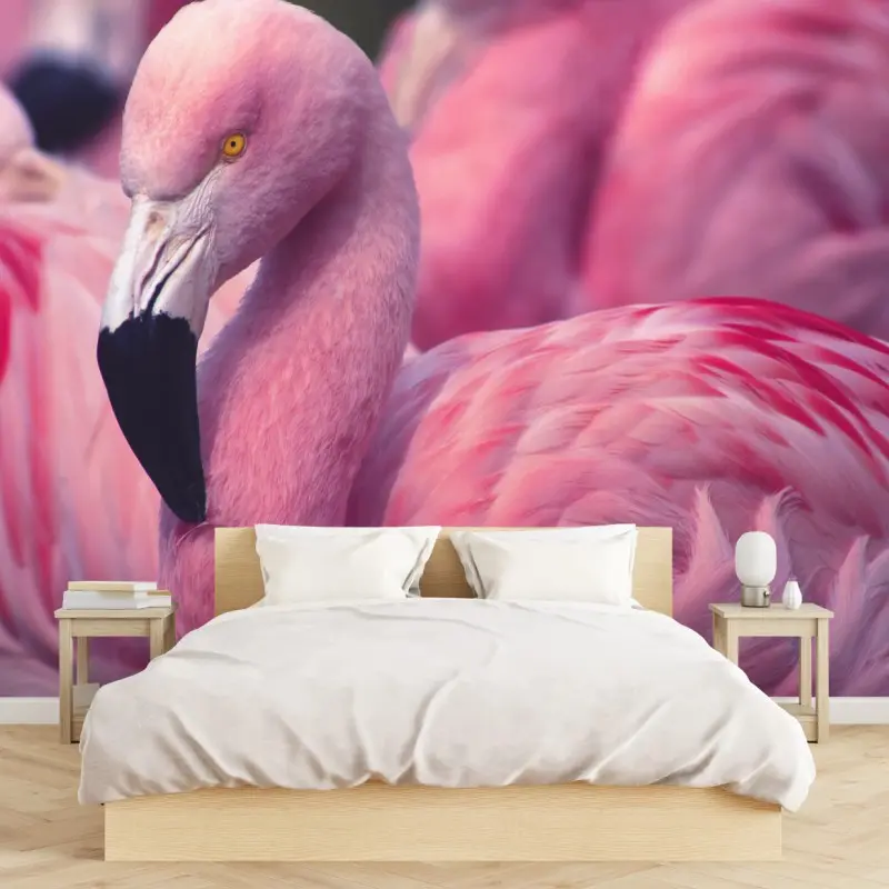 Fototapete rosa flamingo-porträt